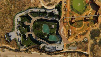 Photo of «Balam Balam”: Así será el felinario de Animaya en Mérida 