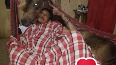 Photo of Sube a su hamaca a su caballo y hace “loch” 