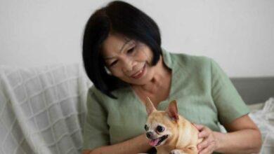 Photo of Elimina a sus hijos del testamento y hereda sus millones a perritos