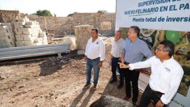 Photo of Alejandro Ruz supervisa la construcción del felinario “Balam Balam”
