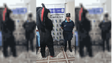 Photo of Detienen a sujeto disfrazado de personaje de Sonic por abusar de menor