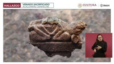 Photo of Hallan cabeza de venado tallada en piedra en Xcalumkín, Campeche