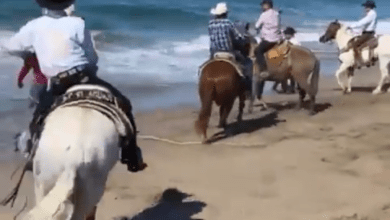 Photo of Jinetes y caballos revolcados por las olas en Mazatlan