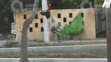 Photo of Cuelga su hamaca en plena calle