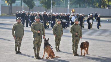 Photo of Max y Ecko, perros rescatistas, se jubilan