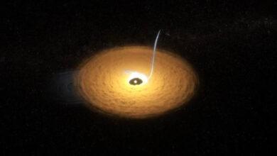 Photo of Webb detecta una polvorienta ‘cola de gato’ en un sistema planetario