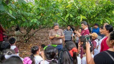 Photo of Maestro oxkutzcabense forma a los guardianes del cacao yucateco
