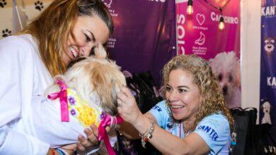 Photo of “Cultura del bienestar animal, es prioridad”: Cecilia Patrón