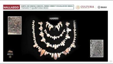 Photo of Hallan collar con ¡colmillos de animal! en el tramo 7