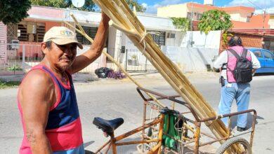 Photo of Horquetas, la “secadoras” yucatecas 