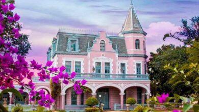 Photo of El Pinar, la casa más coquette de Mérida