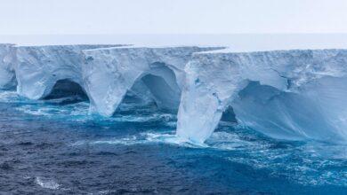 Photo of El iceberg más grande del mundo se derrite 