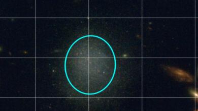 Photo of James Webb capta inusual galaxia enana