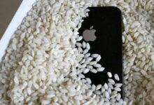 Photo of Apple desaconseja secar tu teléfono en arroz 