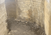 Photo of Descubre refugio subterráneo de la II Guerra Mundial en su patio