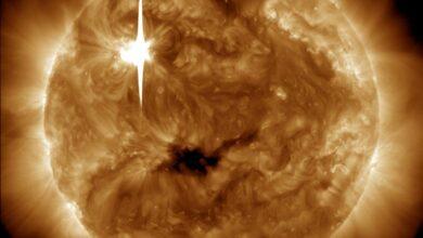 Photo of Sol entra en su erupción más poderosa en 7 años