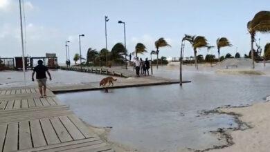 Photo of Mar se desborda e inunda las calles de Progreso