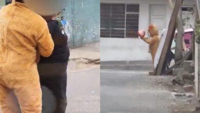 Photo of Policía se disfraza de oso para detener a una delincuente en Perú