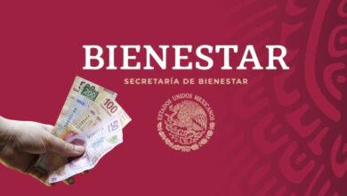 Photo of Secretaría del Bienestar ofrece empleo de 44 mil pesos mensuales