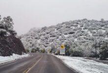 Photo of Y en Sonora, nevada en plena primavera