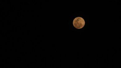 Photo of Eclipse lunar asombra el cielo nocturno