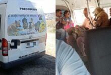 Photo of Chofer deja a lomitos viajar en transporte público y pide adoptar