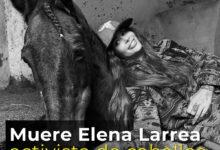 Photo of Fallece Elena Larrea, activista y defensora de los caballos 