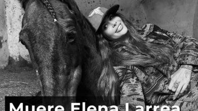 Photo of Fallece Elena Larrea, activista y defensora de los caballos 
