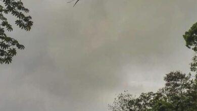 Photo of Captan majestuoso vuelo de quetzal en medio de incendio
