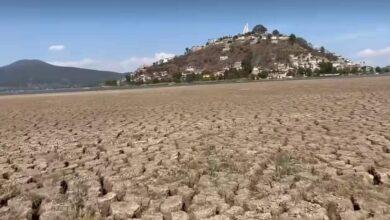 Photo of Lago de Pátzcuaro se seca y causa alarma