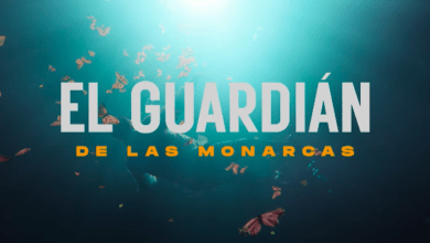 Photo of Netflix estrenará «El Guardián de las Monarcas»