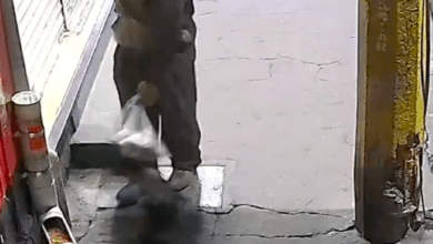 Photo of Hombre se roba las croquetas de perrito en situación de calle. VIDEO