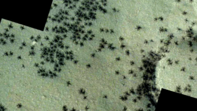Photo of Captan misteriosas formas arácnidas en Marte