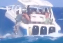 Photo of Los captan arrojando basura al mar