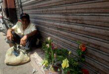 Photo of Abuelito de 88 años vende rosas que el mismo cultiva