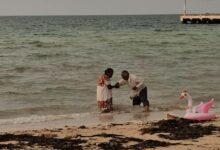 Photo of Abuelitos recogen juntos conchas en la playa