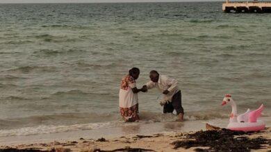 Photo of Abuelitos recogen juntos conchas en la playa