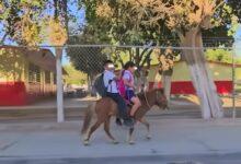 Photo of Van a la escuela cabalgando su pony