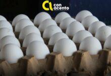Photo of Aumenta el precio del huevo, kilo rebasa los 50 pesos