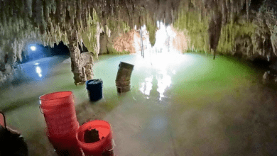 Photo of Profepa confirma derrame de cemento en cuevas bajo el tren maya