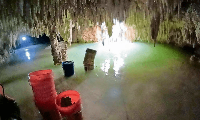 Photo of Profepa confirma derrame de cemento en cuevas bajo el tren maya