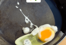 Photo of Cocina un huevo sobre el pavimento con las altas temperaturas  