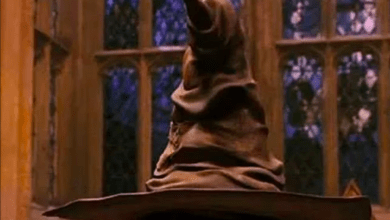 Photo of “Sombrero seleccionador” de Harry Potter demanda a Warner Bros