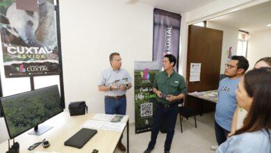 Photo of Ayuntamiento de Mérida consolida a la Reserva Ecológica «Cuxtal»