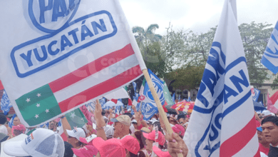 Photo of ¡Yucatán presente en la marcha de la Marea Rosa!
