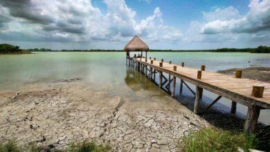 Photo of Se seca bella laguna de la Península de Yucatán