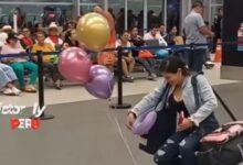Photo of Perrito recibe con globos a su dueña en aeropuerto
