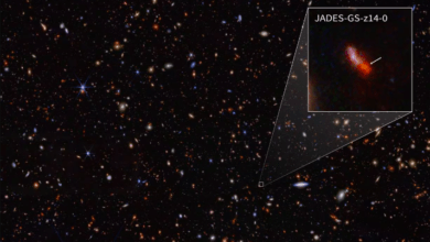 Photo of Telescopio James Webb capta la galaxia más antigua conocida