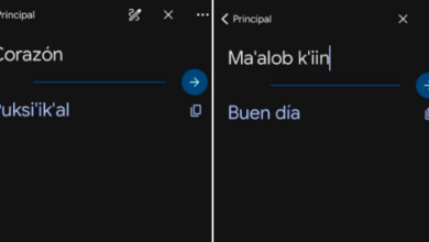 Photo of Google incorpora el Maya a su traductor