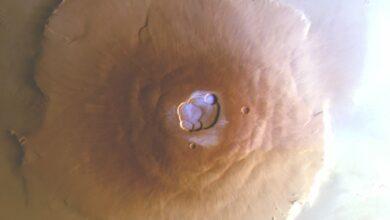 Photo of ¡Olympus Mons, el volcán más alto no sólo en Marte sino en todo el Sistema Solar!